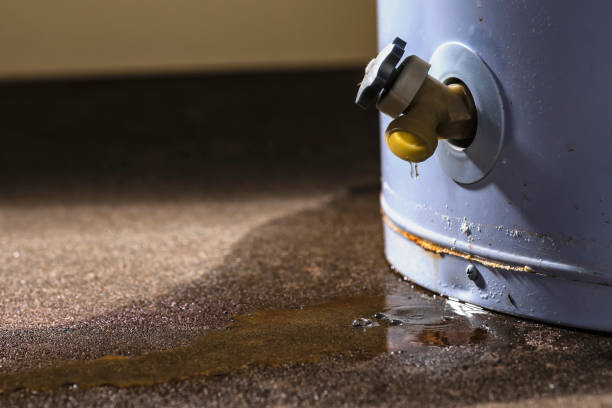 Best Sewage cleanup and water damage restoration  in Oceanside, NY
