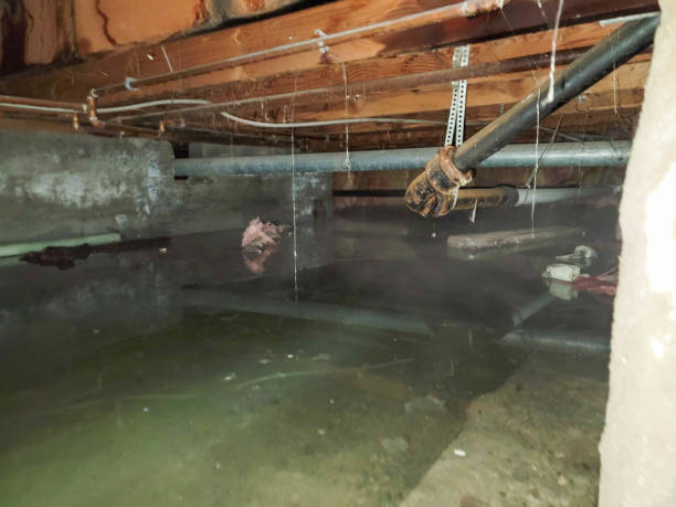 Trusted Oceanside, NY Water damage restoration Experts