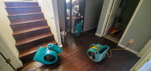  Oceanside, NY Water damage restoration Pros