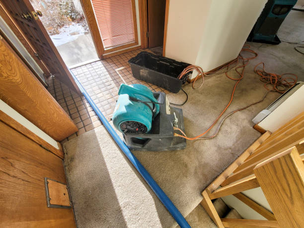 Best Water damage cleanup near me  in Oceanside, NY