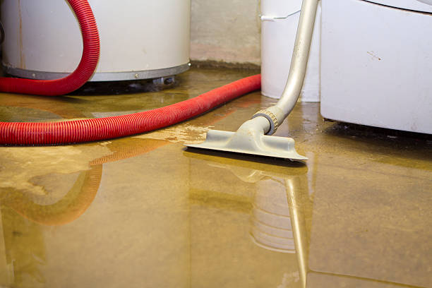 Best Carpet water damage restoration  in Oceanside, NY