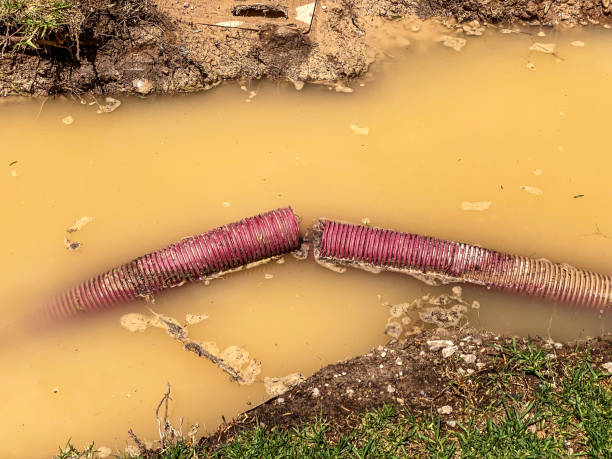 Best Professional water damage repair  in Oceanside, NY